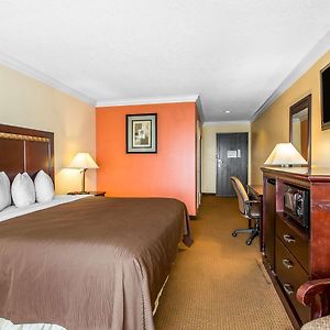 Chambre Accessible aux Personnes à Mobilité Réduite Lit King-Size