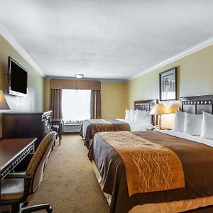 Chambre Standarde Lit Queen-Size